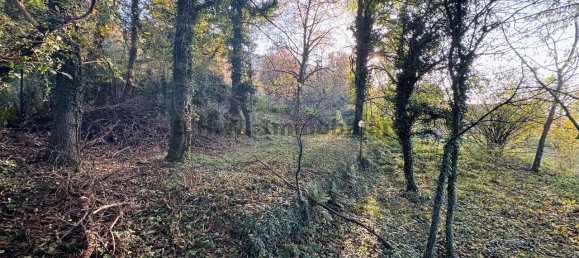 1-Zimmer Grundstück in Orino, Italy, Nr. 137439 6