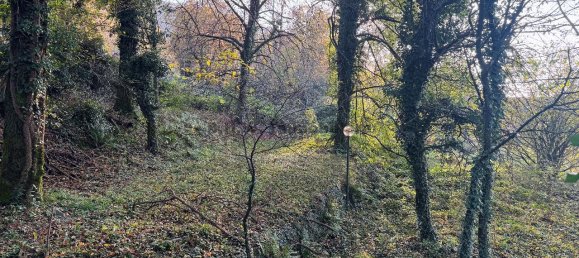 1-Zimmer Grundstück in Orino, Italy, Nr. 137439 7