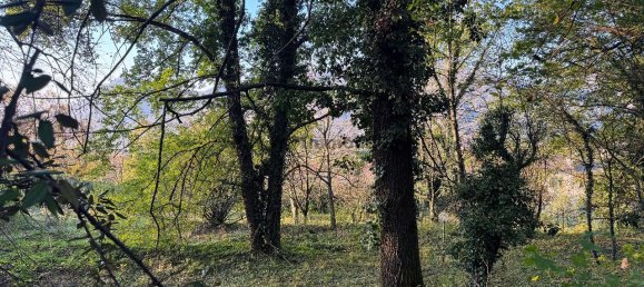 1-Zimmer Grundstück in Orino, Italy, Nr. 137439 12