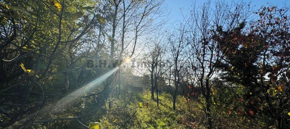 1-Zimmer Grundstück in Orino, Italy, Nr. 137439 3