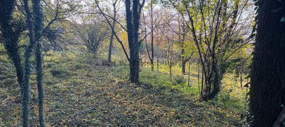 1-Zimmer Grundstück in Orino, Italy, Nr. 137439 4