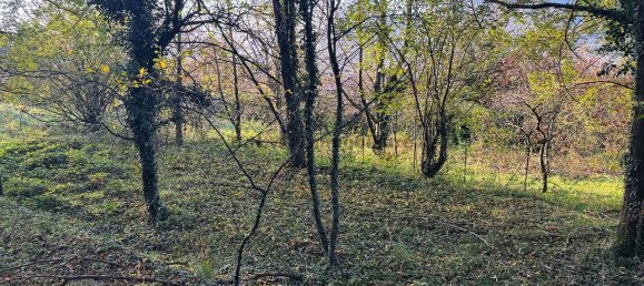 1-Zimmer Grundstück in Orino, Italy, Nr. 137439 10