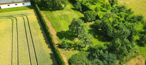 5غرفة منزل في St. Peter am Hart, Austria رقم 208010 5