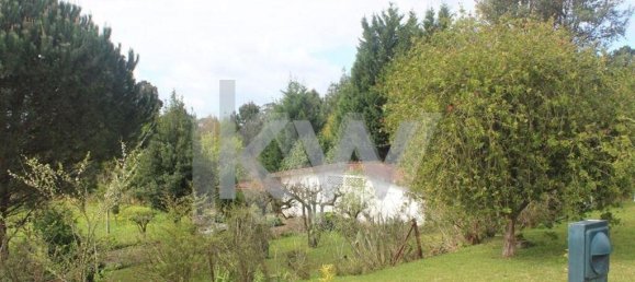 6 bedrooms House in Oliveira de Azemeis, Portugal No. 91898 15