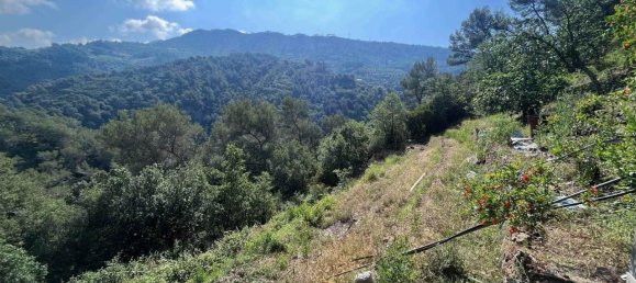 8غرفة منزل في Soldano, Italy رقم 153662 4