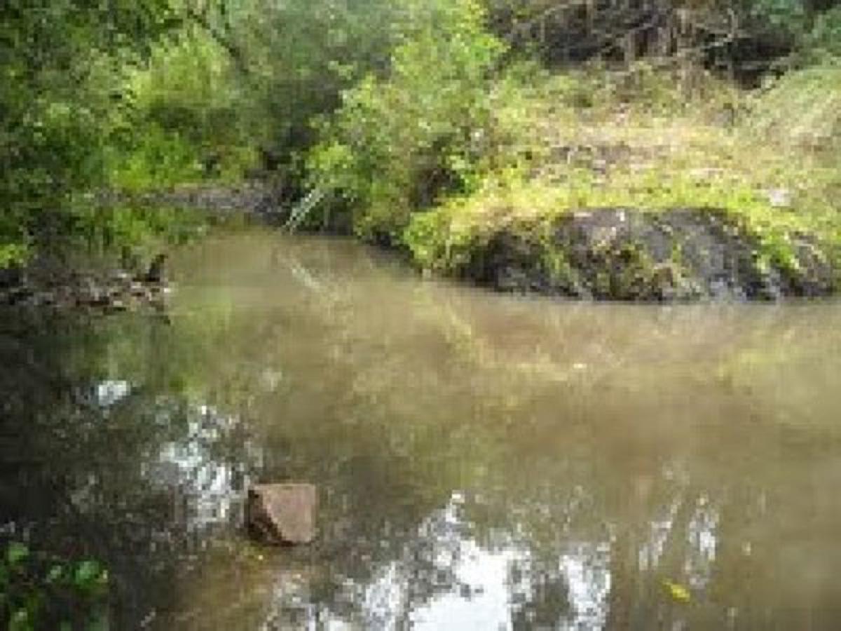 42m² Farm in Maldonado, Uruguay No. 14392