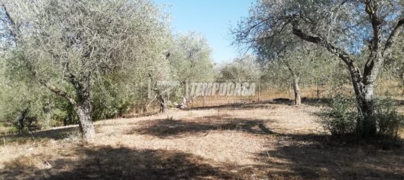 2 rooms House in Sassari, Italy No. 274487 11