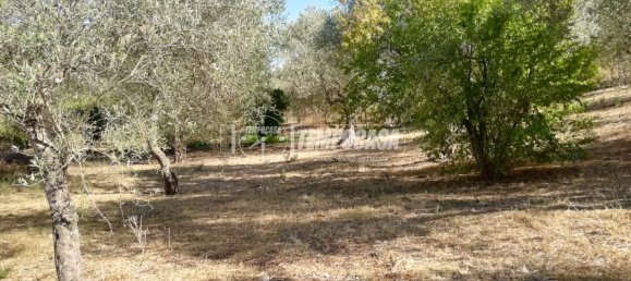 2 rooms House in Sassari, Italy No. 274487 6