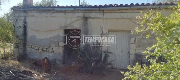 2 rooms House in Sassari, Italy No. 274487 3