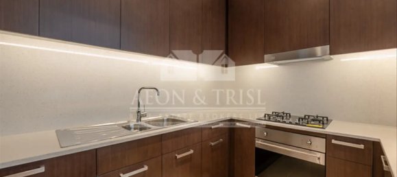 Квартира с 2 спальнями в Даунтаун Дубай (Даунтаун Бурдж Дубай), ОАЭ № 105399 5