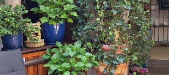 Bâtiment à Furth, Germany 500m² No. 355791 28