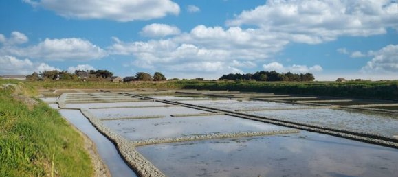 442m² Land in La Turballe, France No. 286770 6