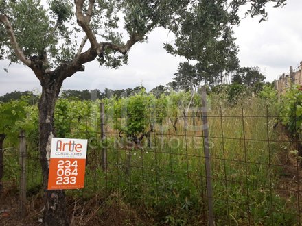 Terreno em Oiã, Portugal 1440 m² N.º 92842