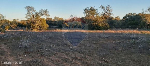  قطعة أرض في Olhao, Portugal 13800متر مربع رقم 38908 7