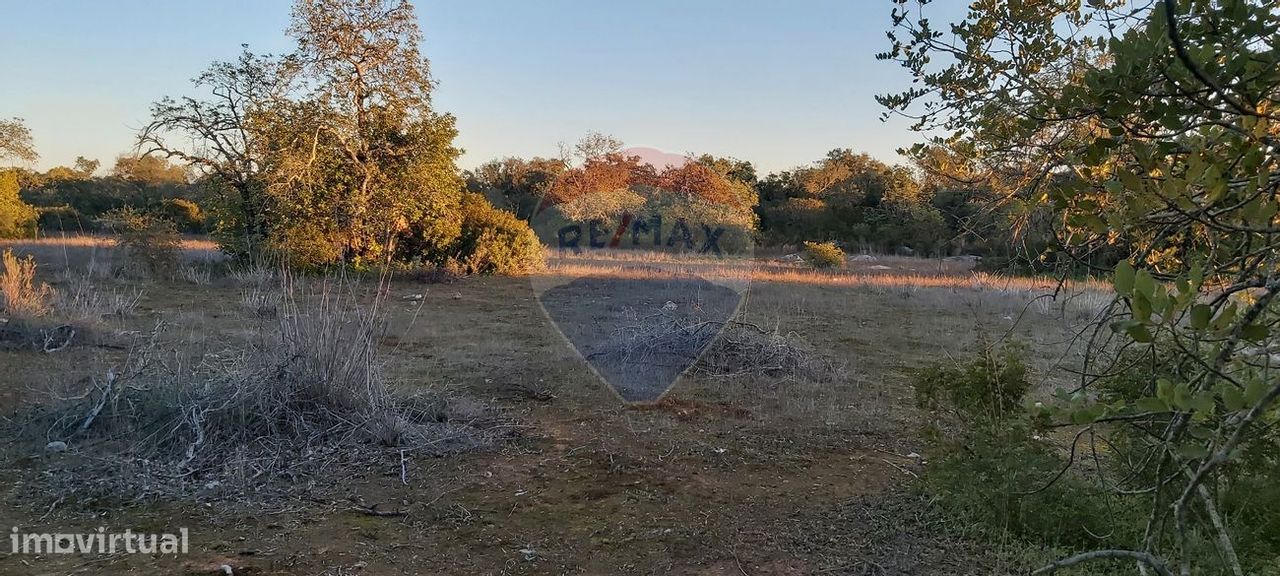  قطعة أرض في Olhao, Portugal 13800متر مربع رقم 38908