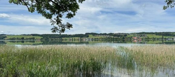 1125m² Land in Mattsee, Austria No. 64383 4