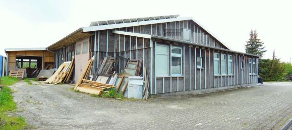Lagerhaus in Baden-Württemberg, Germany 715m², Nr. 35916 7