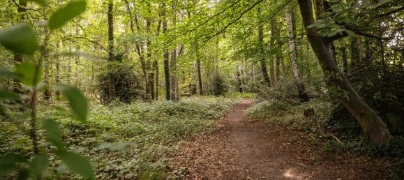 2 غرف نوم بنغالو في Stade, Germany رقم 286891 5
