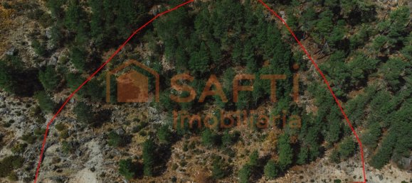 1 bedroom House in Manteigas, Portugal No. 79673 20