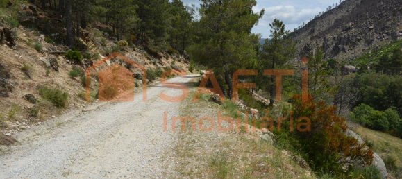 1 bedroom House in Manteigas, Portugal No. 79673 5