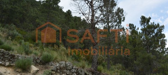 1 bedroom House in Manteigas, Portugal No. 79673 9