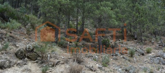 1 bedroom House in Manteigas, Portugal No. 79673 7