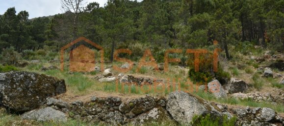 1 bedroom House in Manteigas, Portugal No. 79673 35