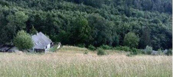 Terrain à Neulengbach, Austria 10008m² No. 87218 3