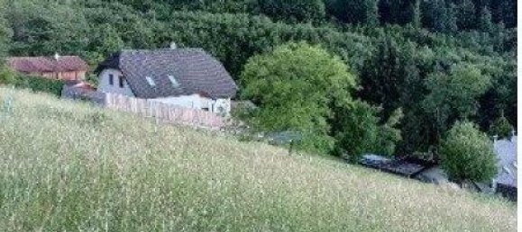 Terrain à Neulengbach, Austria 10008m² No. 87218 5