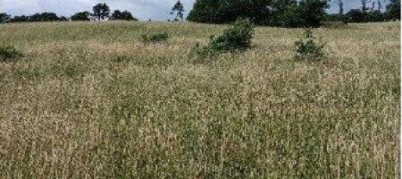 Terrain à Neulengbach, Austria 10008m² No. 87218 7