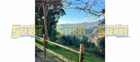 2 rooms House in Riomaggiore, Italy No. 265181 28