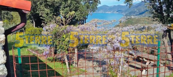 2 rooms House in Riomaggiore, Italy No. 265181 17