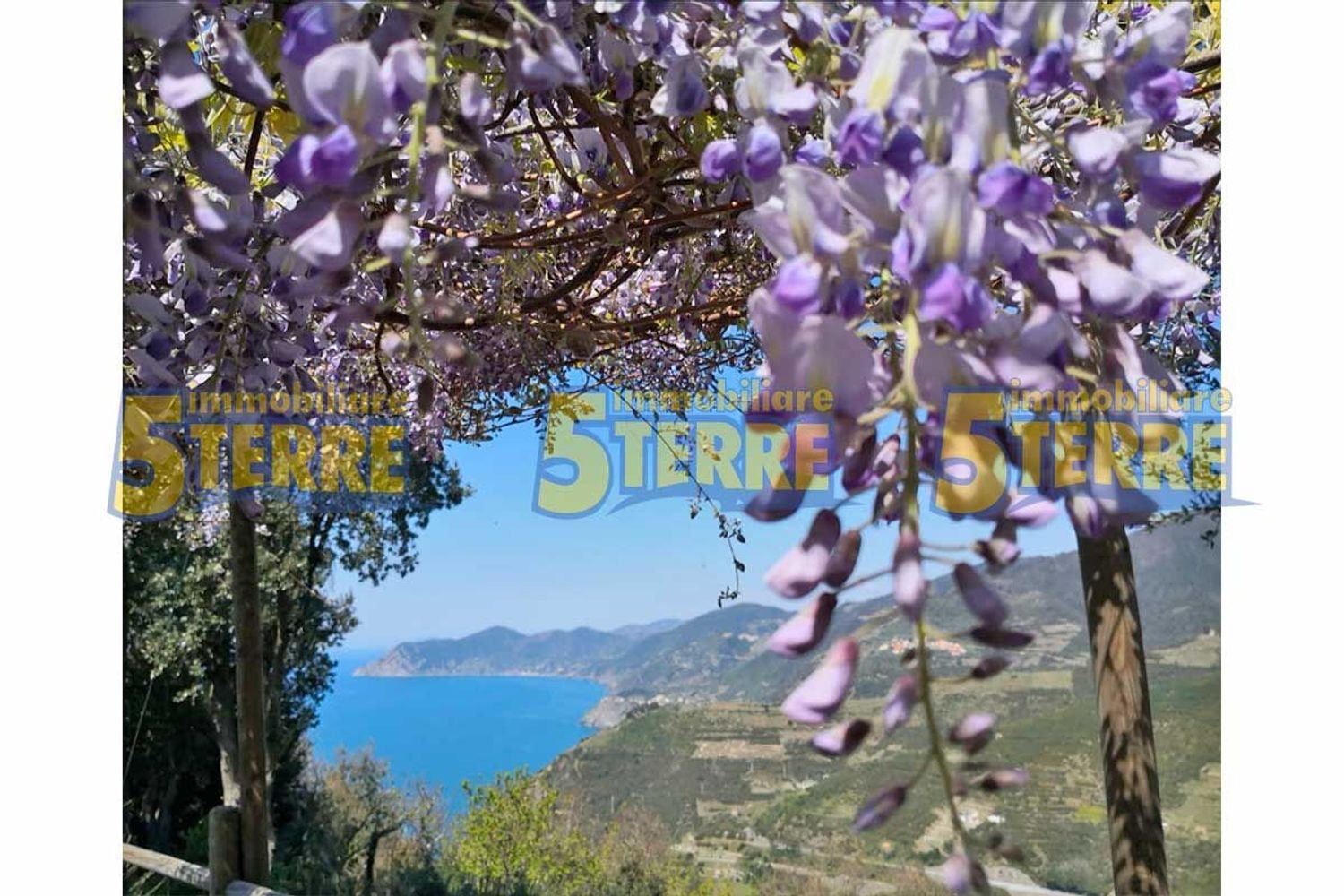 2 rooms House in Riomaggiore, Italy No. 265181