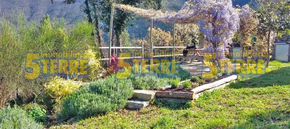 2 rooms House in Riomaggiore, Italy No. 265181 2