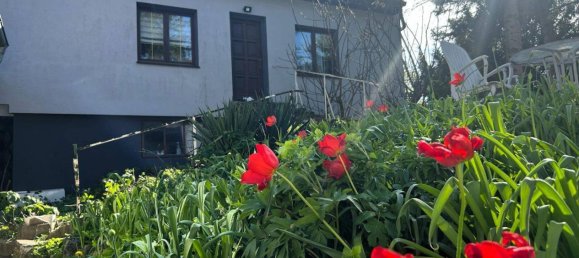 6 rooms House in Traiskirchen, Austria No. 223304 2