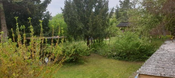 6 rooms House in Traiskirchen, Austria No. 223304 3