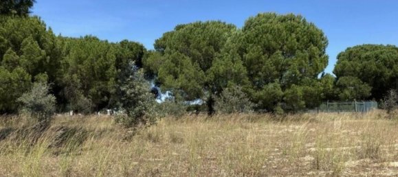 Terreno en Alcacer do Sal, Portugal 154750 m² No. 124455 5