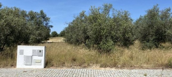 Terreno en Alcacer do Sal, Portugal 154750 m² No. 124455 7