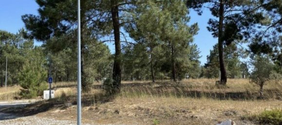 Terreno en Alcacer do Sal, Portugal 154750 m² No. 124455 2