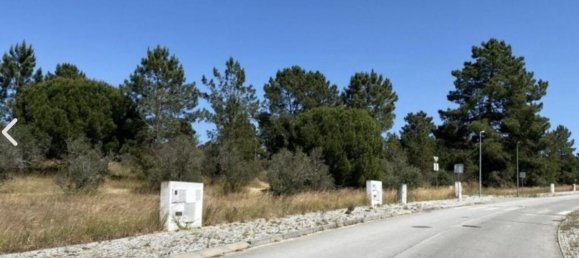 Terreno en Alcacer do Sal, Portugal 154750 m² No. 124455 6