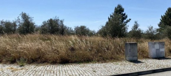 Terreno en Alcacer do Sal, Portugal 154750 m² No. 124455 8