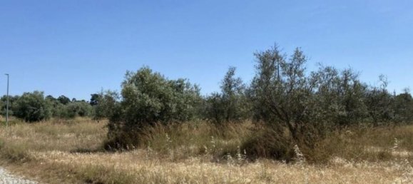 Terreno en Alcacer do Sal, Portugal 154750 m² No. 124455 9