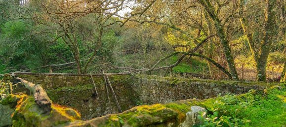 Casa de 13 dormitorios en Tomar, Portugal No. 164599 10