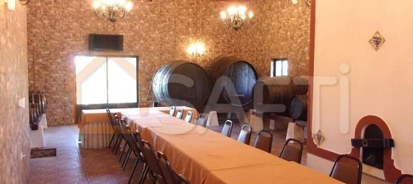 11 Schlafzimmer Grundstück in Caldas da Rainha, Portugal, Nr. 128025 47