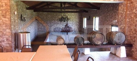 11 Schlafzimmer Grundstück in Caldas da Rainha, Portugal, Nr. 128025 49