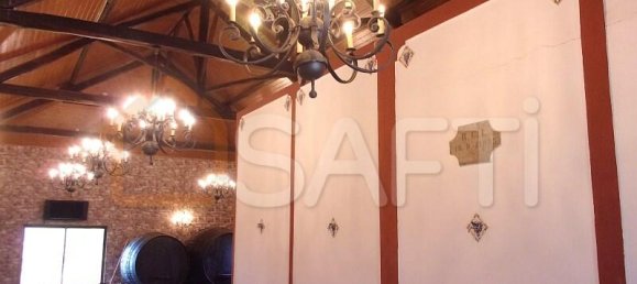 11 Schlafzimmer Grundstück in Caldas da Rainha, Portugal, Nr. 128025 46