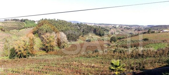 11 Schlafzimmer Grundstück in Caldas da Rainha, Portugal, Nr. 128025 42
