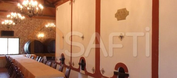 11 Schlafzimmer Grundstück in Caldas da Rainha, Portugal, Nr. 128025 45