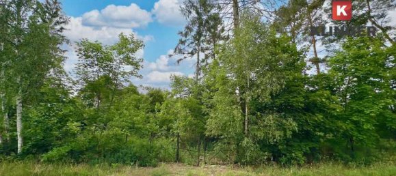 Terreno em Potsdam-Mittelmark, Germany 2657 m² N.º 297987 3