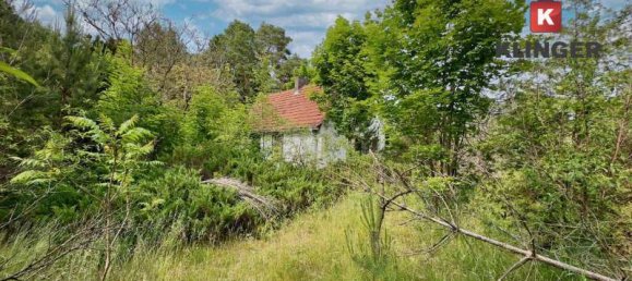 Terreno em Potsdam-Mittelmark, Germany 2657 m² N.º 297987 4